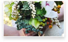 weddings & events